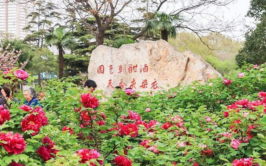 &#24320;&#20113;&#40;&#20013;&#22269;&#30005;&#23376;&#41;&#32;&#75;&#65;&#73;&#89;&#85;&#78;